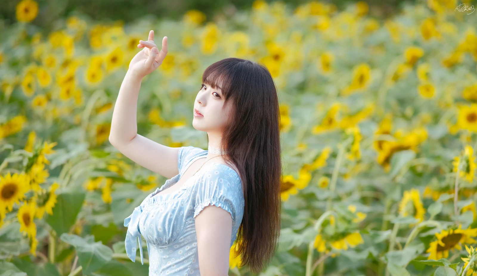 图片[3]-皮皮奶可可爱了啦 彼女向日葵 35P-COS世界